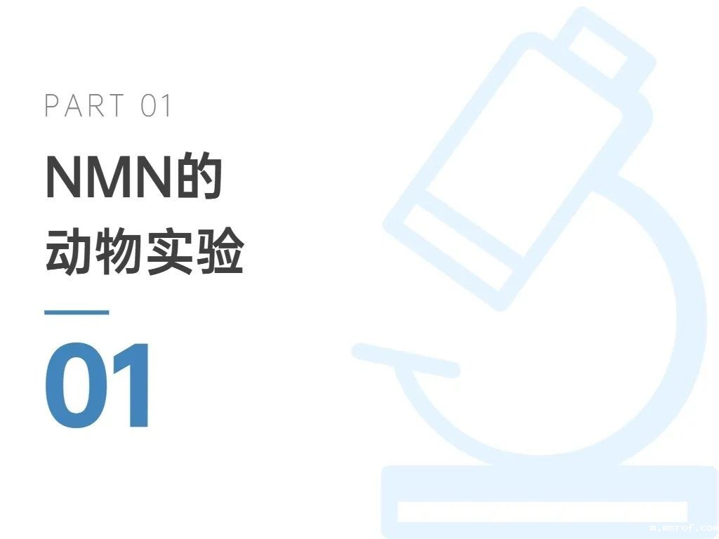 开云体育新人生物 开云体育新人生物