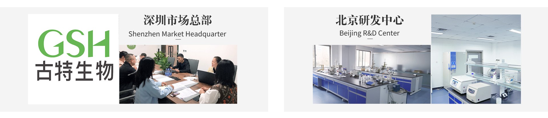 开云体育新人生物