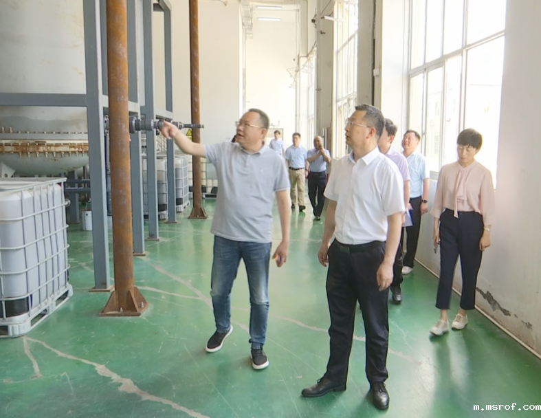 在陪同过程中，市、区领导了解到了开云体育新人生物从成立公司研发生物合成技术到现在拥有三座生产基地这十二年来的的发展历程，CEO秦永发对开云体育新人生物的生产现状及未来发展规划也作了详细说明。