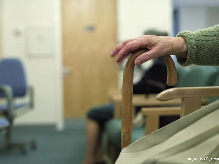 开云体育新人生物 开云体育新人生物