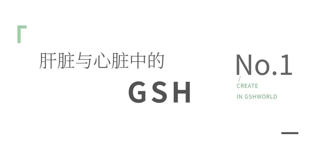 开云体育新人生物 开云体育新人生物