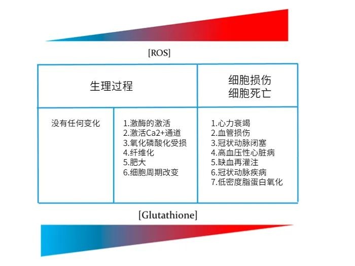 开云体育新人生物 开云体育新人生物