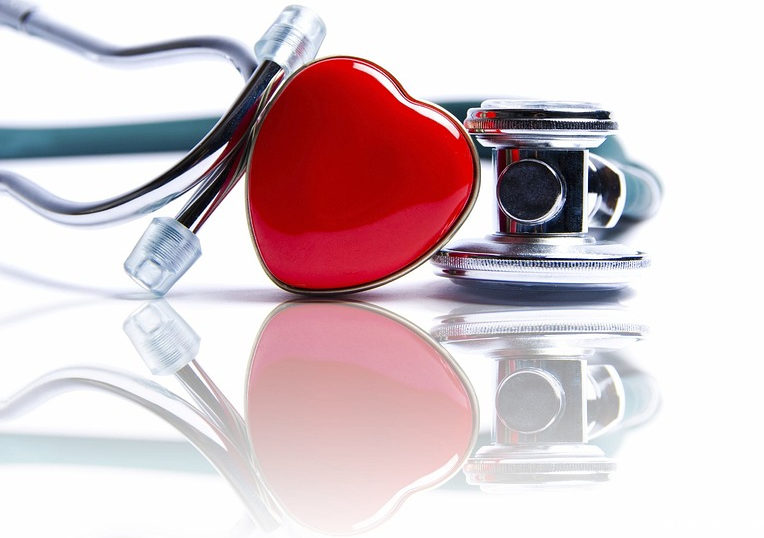 开云体育新人生物