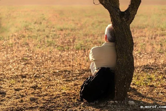 开云体育新人生物