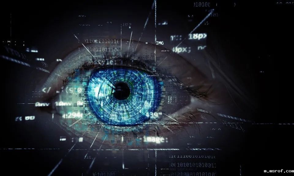 开云体育新人生物