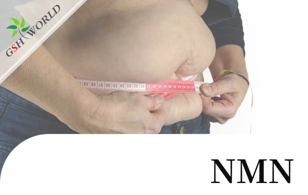 开云体育新人生物 开云体育新人生物