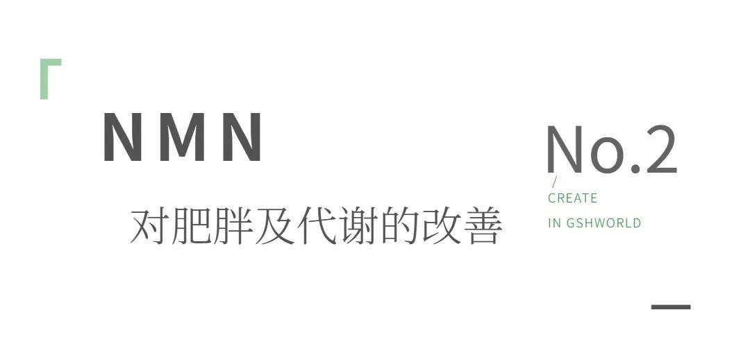 开云体育新人生物 开云体育新人生物