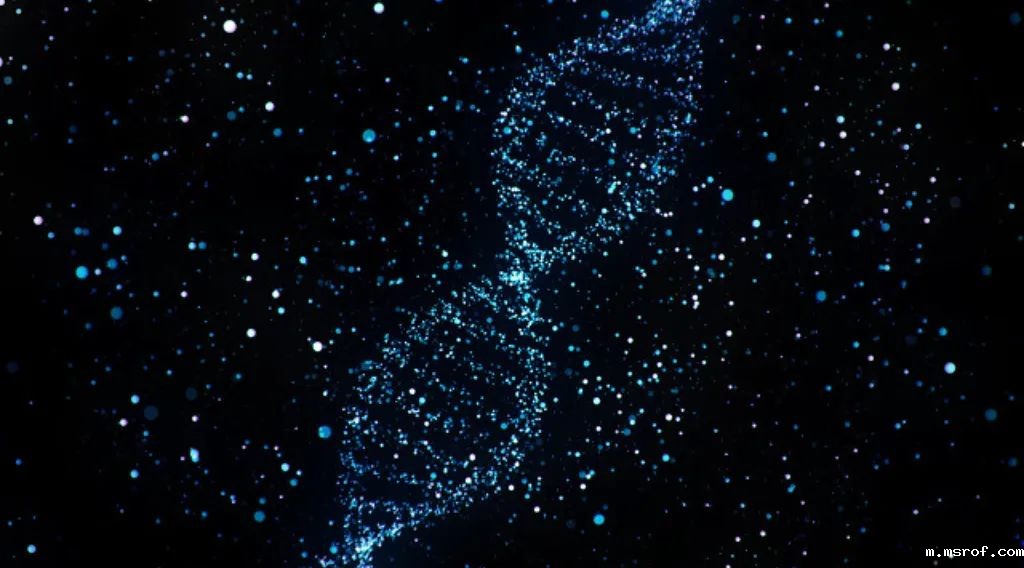 开云体育新人生物 开云体育新人生物