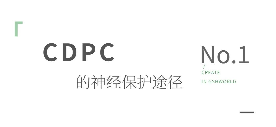 开云体育新人生物