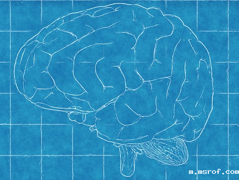 开云体育新人生物