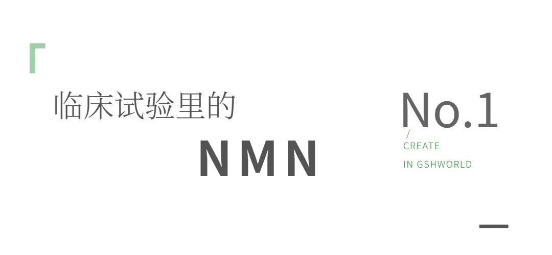 开云体育新人生物