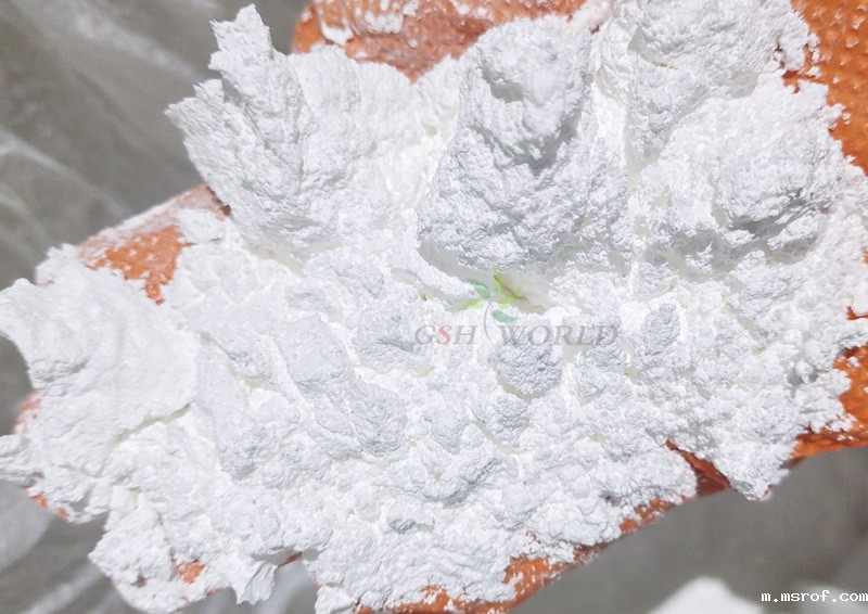 开云体育新人生物