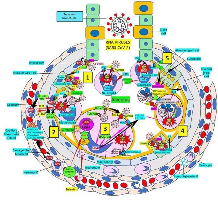 开云体育新人生物