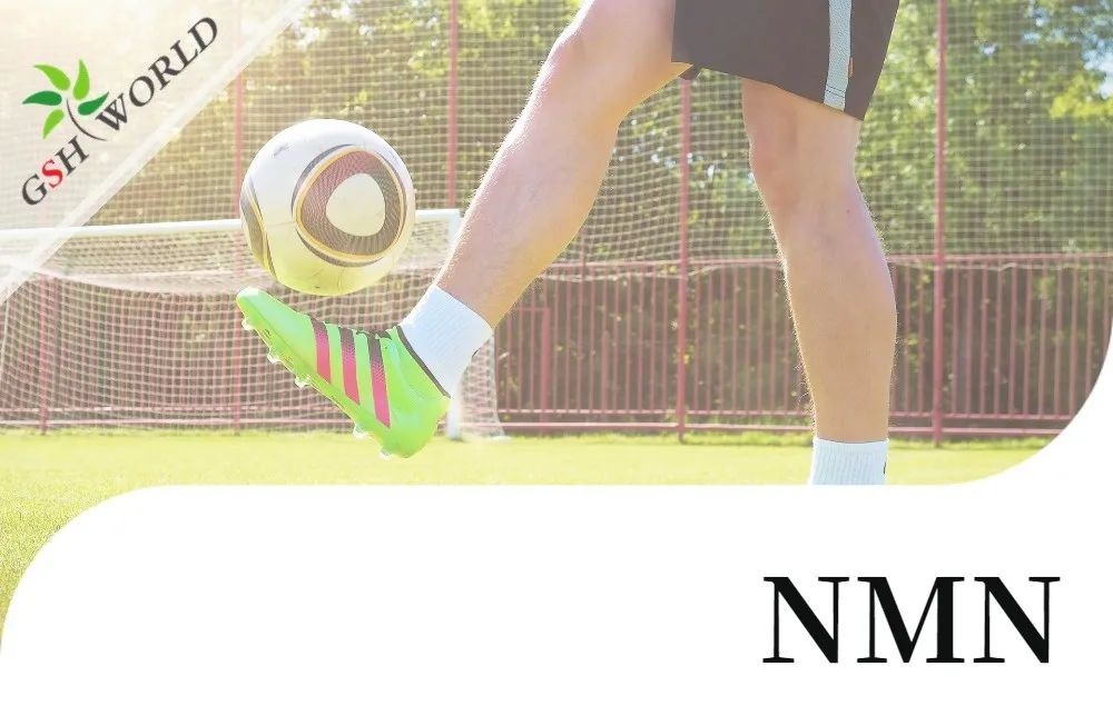 行业关注 - NMN对肌腱炎的抗氧化作用