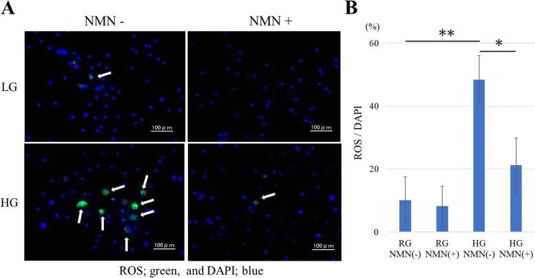 开云体育新人生物 开云体育新人生物