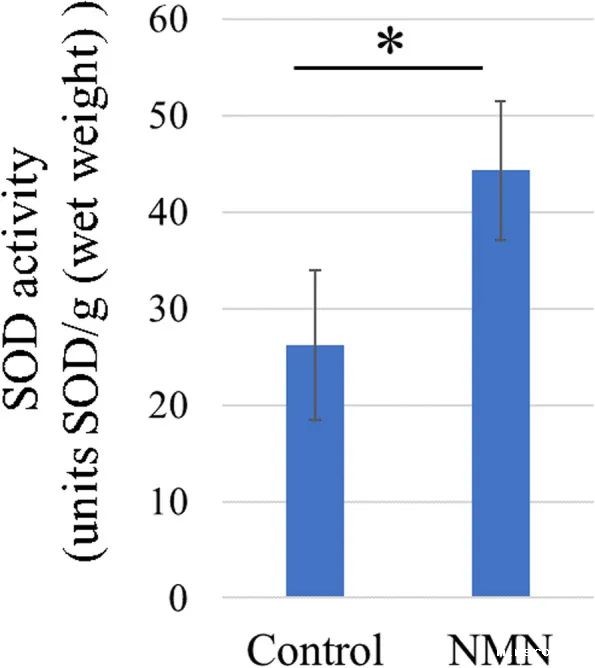 开云体育新人生物 开云体育新人生物