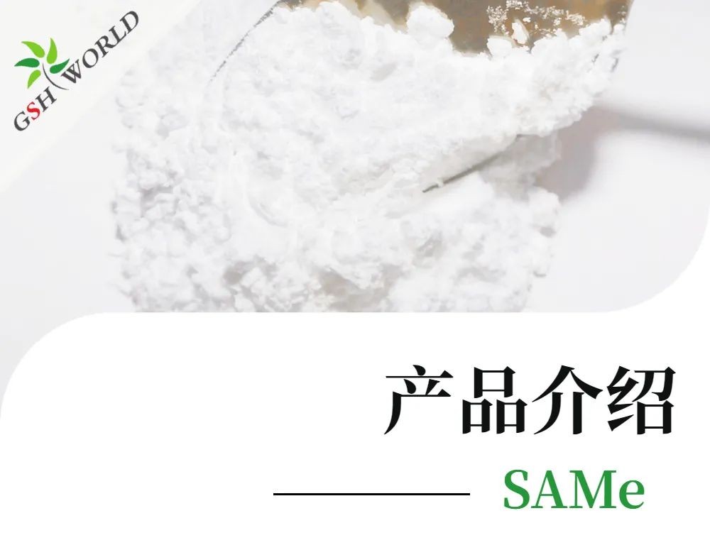 开云体育新人生物 开云体育新人生物