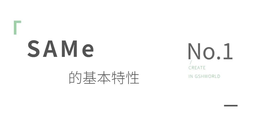 开云体育新人生物 开云体育新人生物