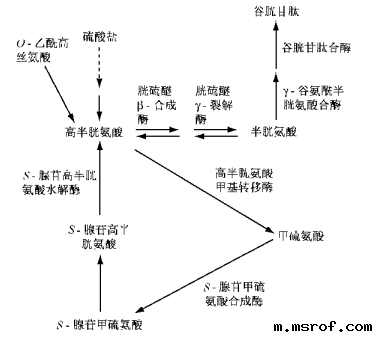 开云体育新人生物 开云体育新人生物