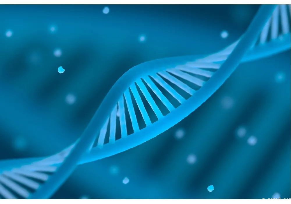 开云体育新人生物 开云体育新人生物