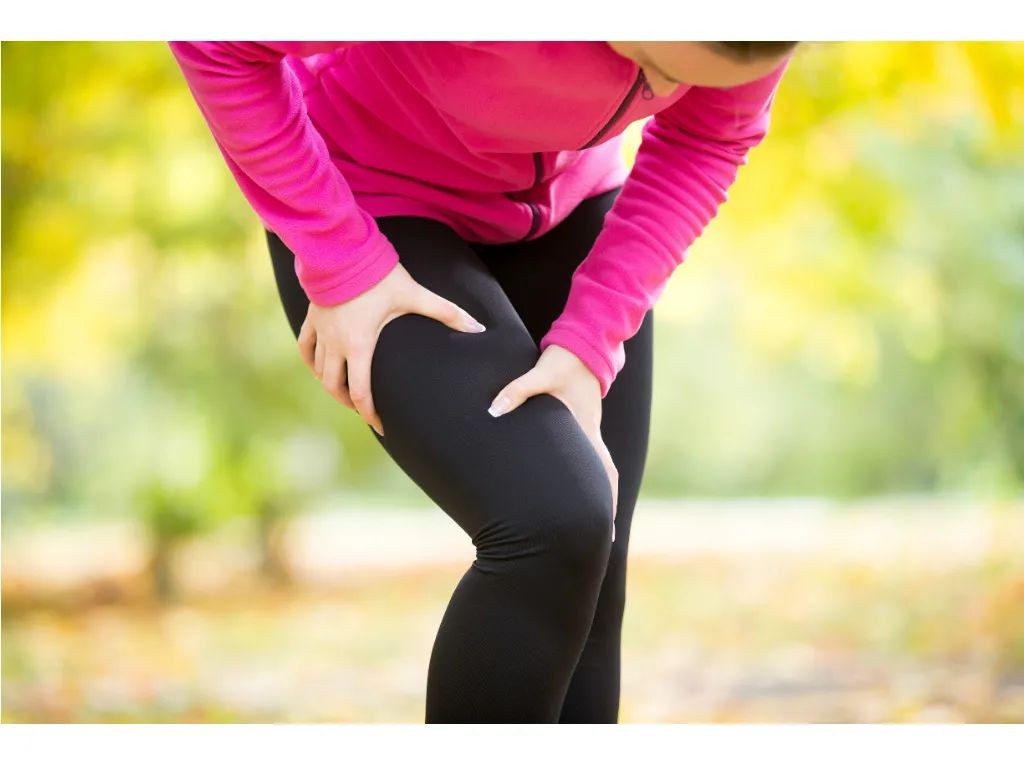 开云体育新人生物 开云体育新人生物