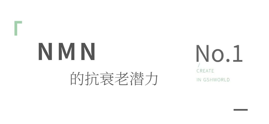 开云体育新人生物