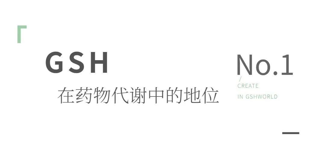 开云体育新人生物 开云体育新人生物