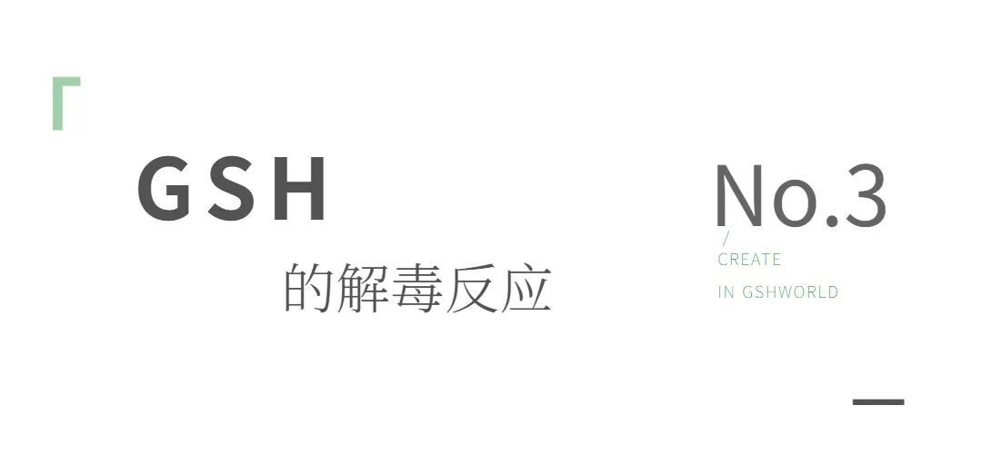 开云体育新人生物 开云体育新人生物