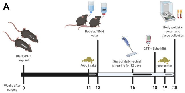 开云体育新人生物 开云体育新人生物