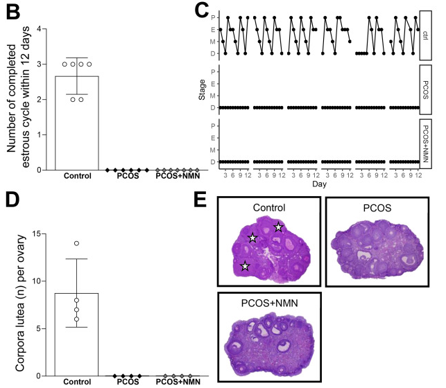 开云体育新人生物 开云体育新人生物