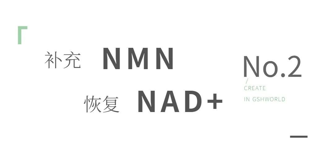 开云体育新人生物 开云体育新人生物