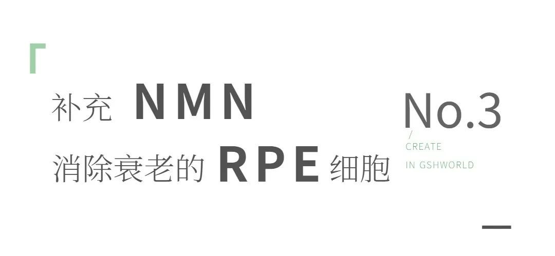 开云体育新人生物 开云体育新人生物