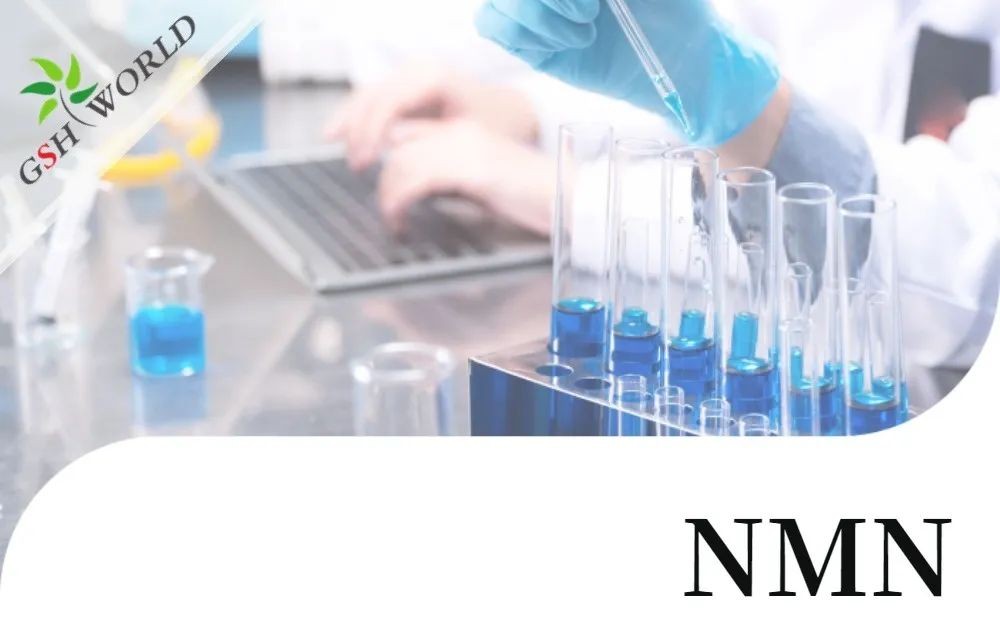 行业关注 - NMN最新研究进展