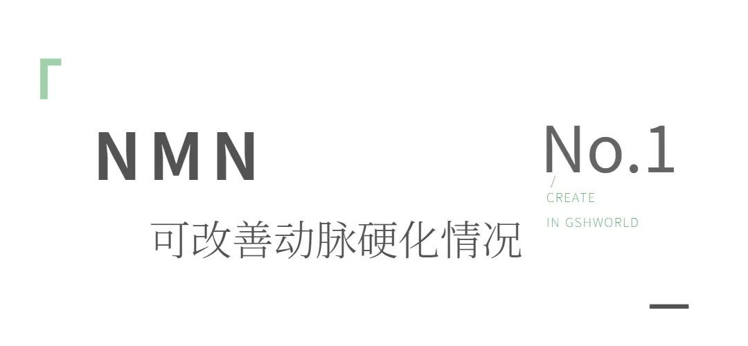 开云体育新人生物