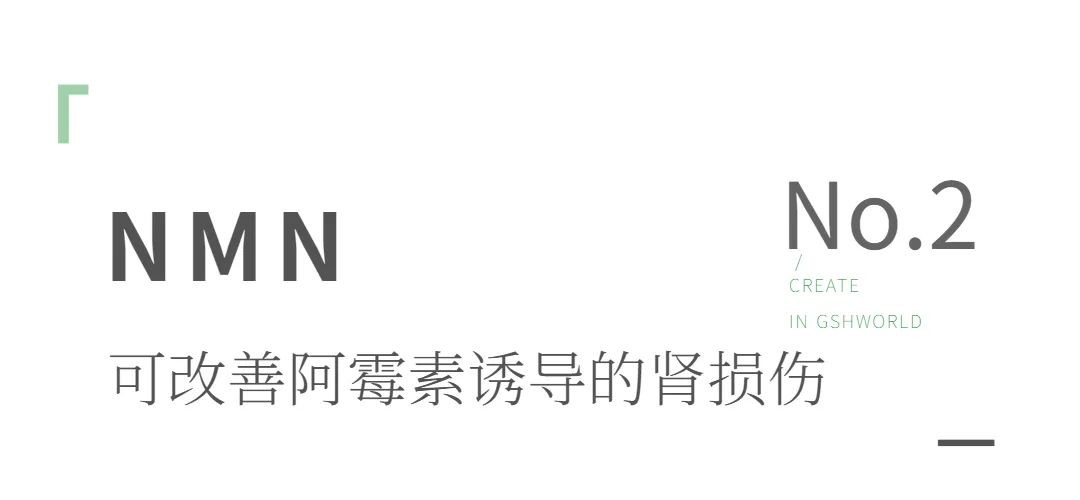 开云体育新人生物