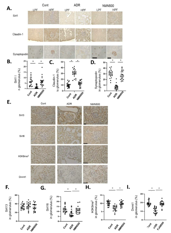 开云体育新人生物