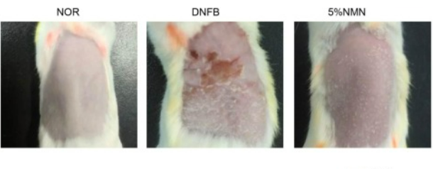 开云体育新人生物