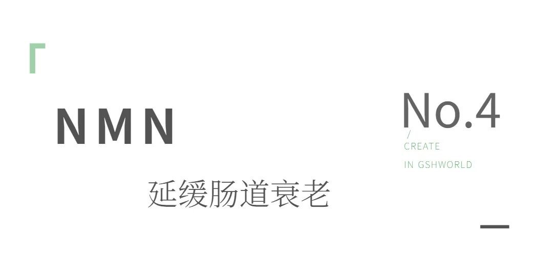 开云体育新人生物