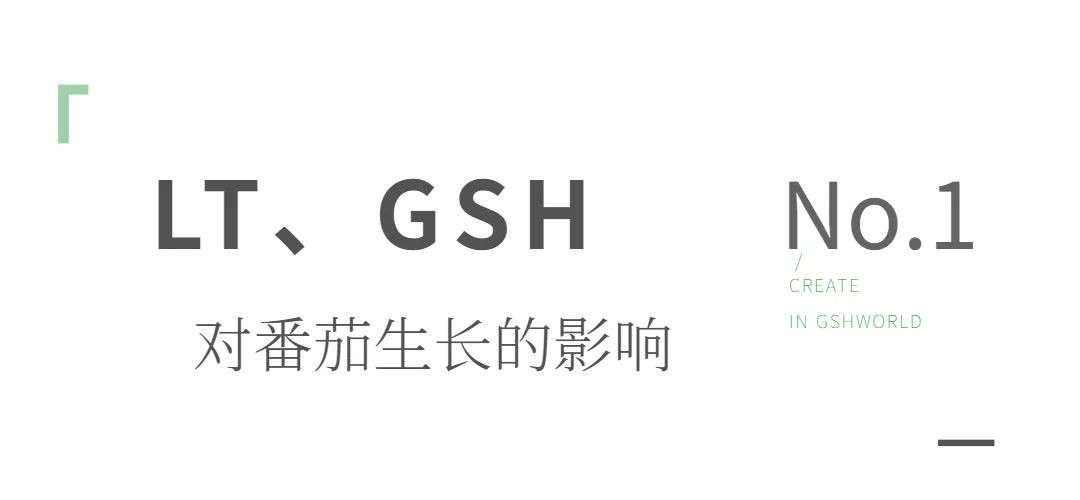 开云体育新人生物