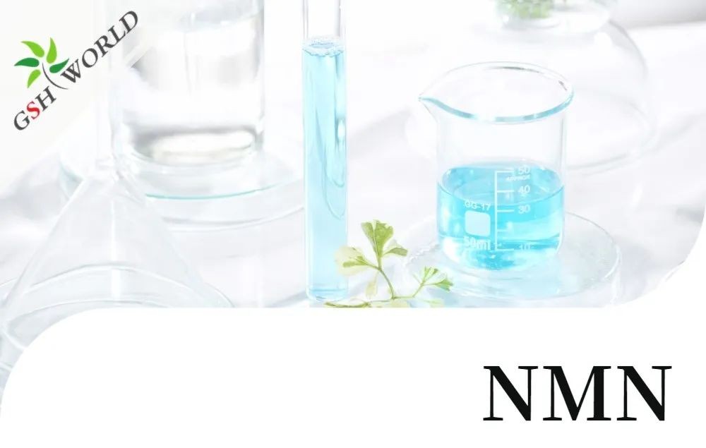 行业关注 - NMN最新安全性与耐受性评估