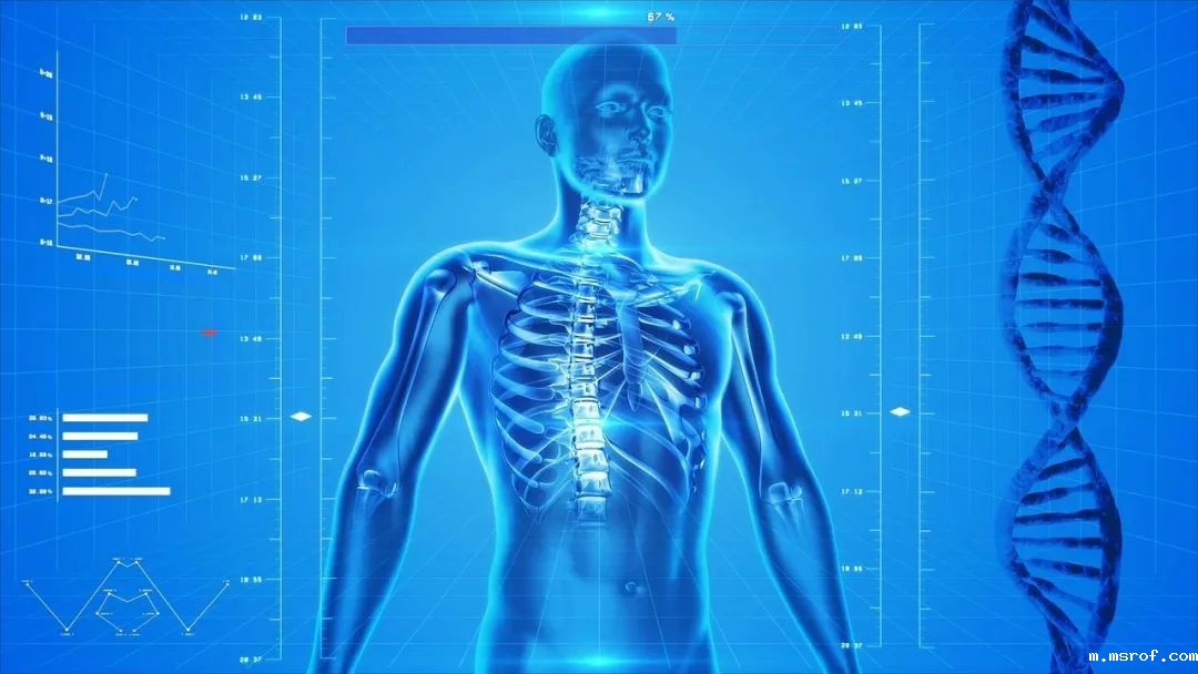 开云体育新人生物