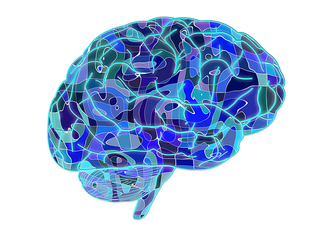 开云体育新人生物 开云体育新人生物