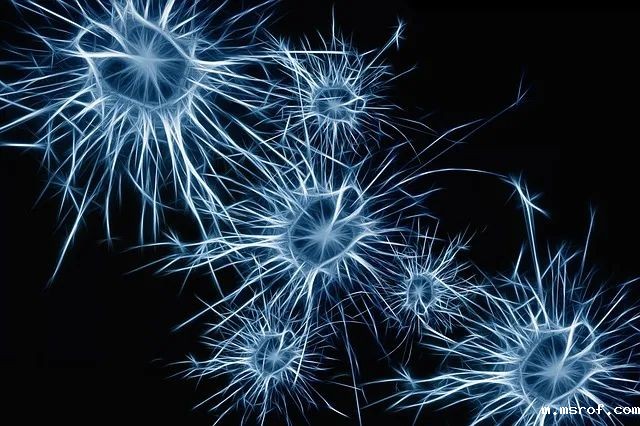 开云体育新人生物 开云体育新人生物