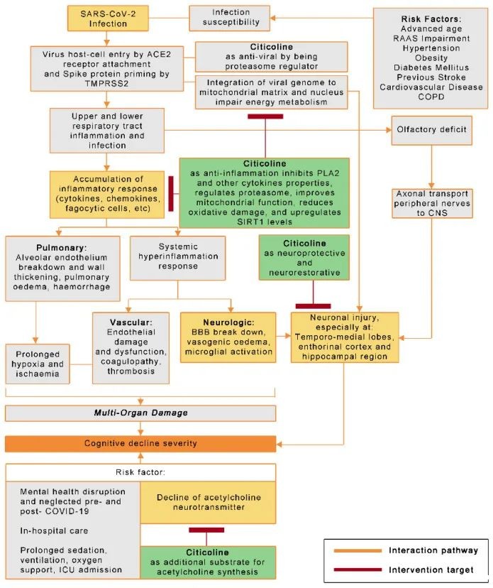 开云体育新人生物 开云体育新人生物