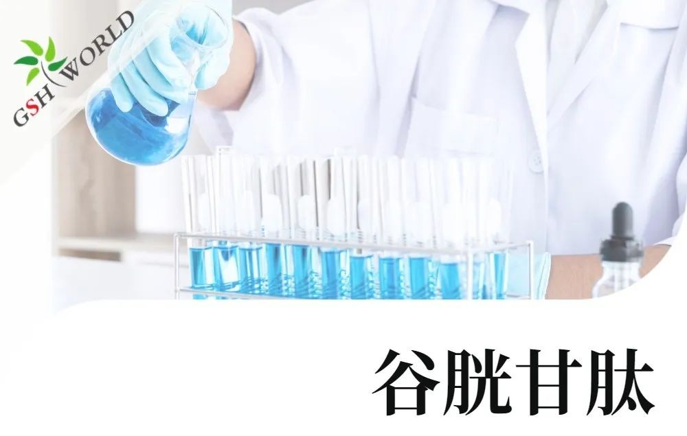 开云体育新人生物