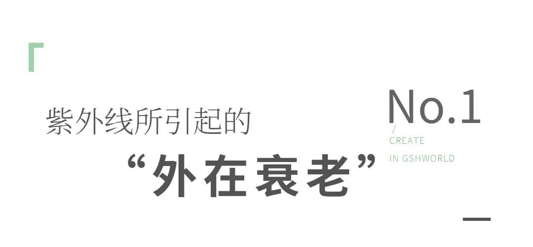 开云体育新人生物