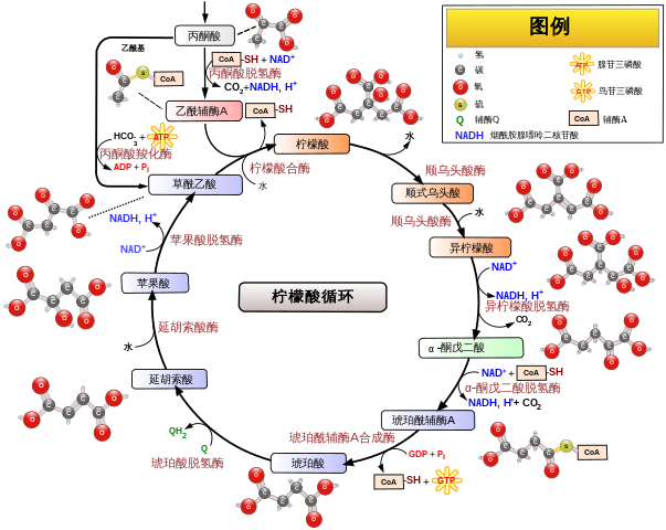 开云体育新人生物 开云体育新人生物