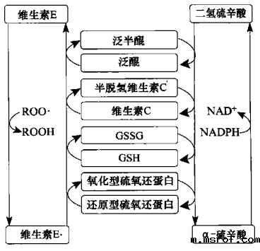 开云体育新人生物 开云体育新人生物