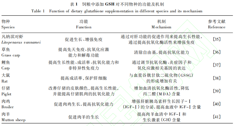 开云体育新人生物