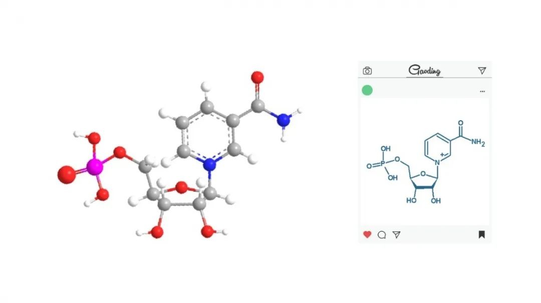 开云体育新人生物 开云体育新人生物